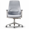 Ergonomic office chair with adjustable arms and lumbar support in gray fabric